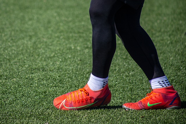 与国之间的 与国之间的