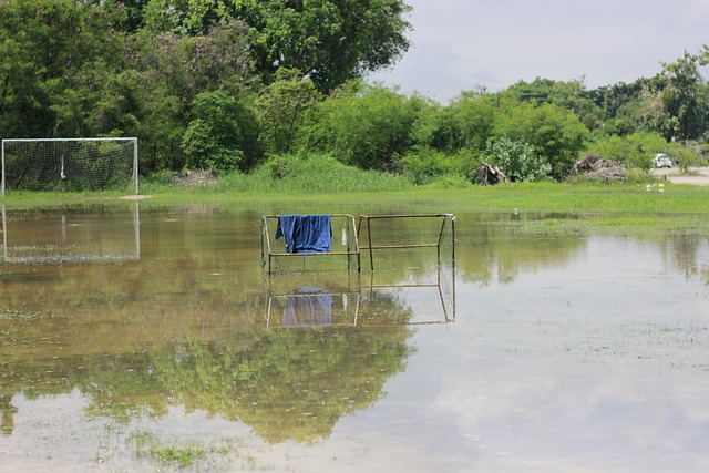 往往取决于 往往取决于