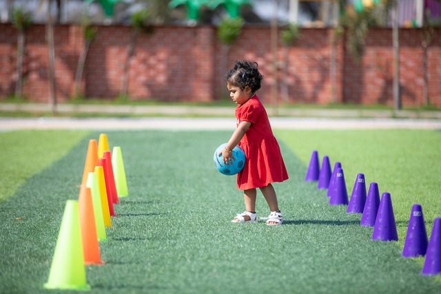 的学习能力 的学习能力