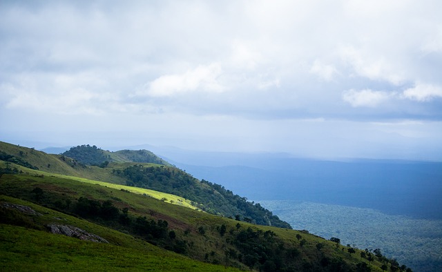 冰壶领域相 冰壶领域相