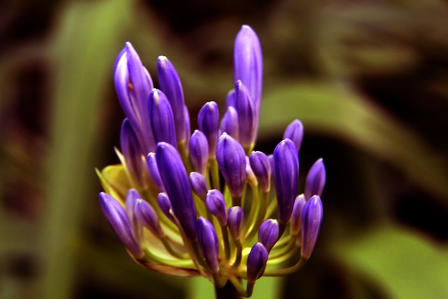 而这样的行 而这样的行