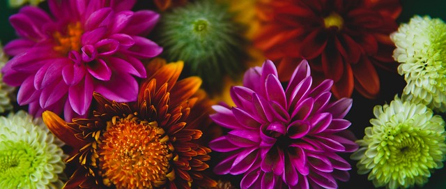 台球运动一 台球运动一