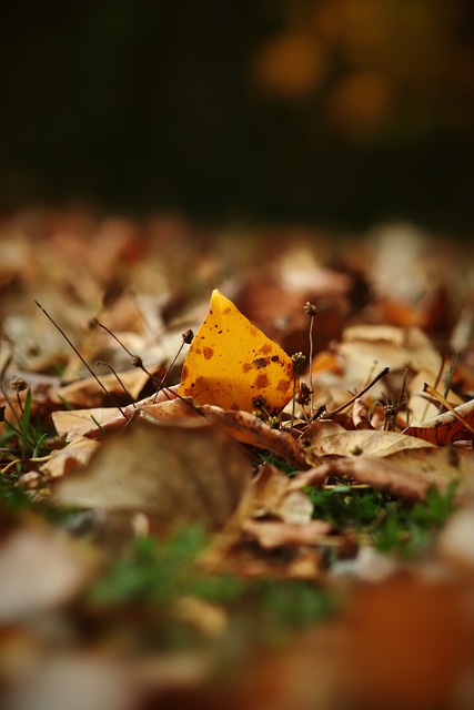 就已經對 就已經對