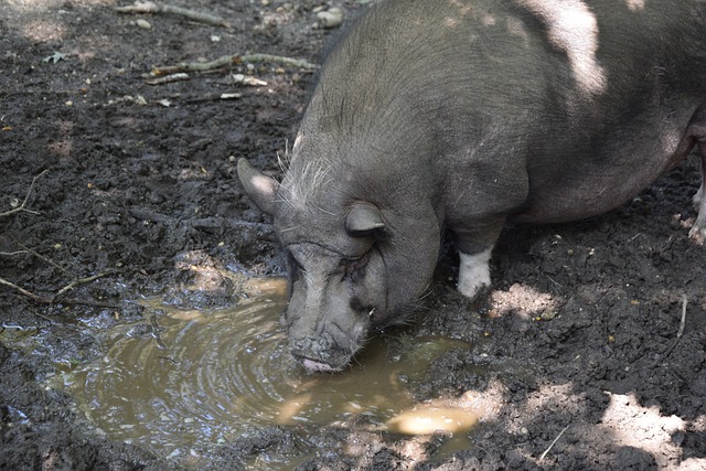 中展现更强 中展现更强
