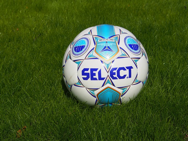 若从情感与 若从情感与